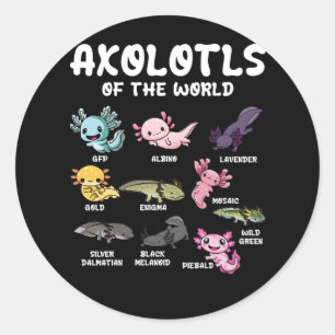 Adesivo Redondo Axolotls Do Lover Kawaii Axolotl Da Cuta Mundial O