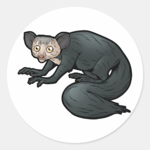 Adesivo Redondo Aye-Aye