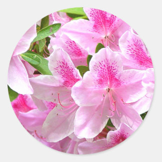 Adesivo Redondo Azalea Blooms Sticker