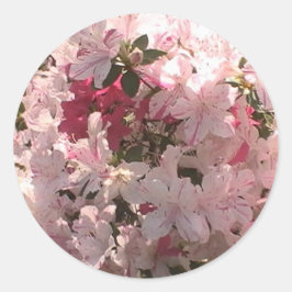 Adesivo Redondo Azalea rosa