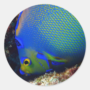 Adesivo Redondo Azuis marinhos
