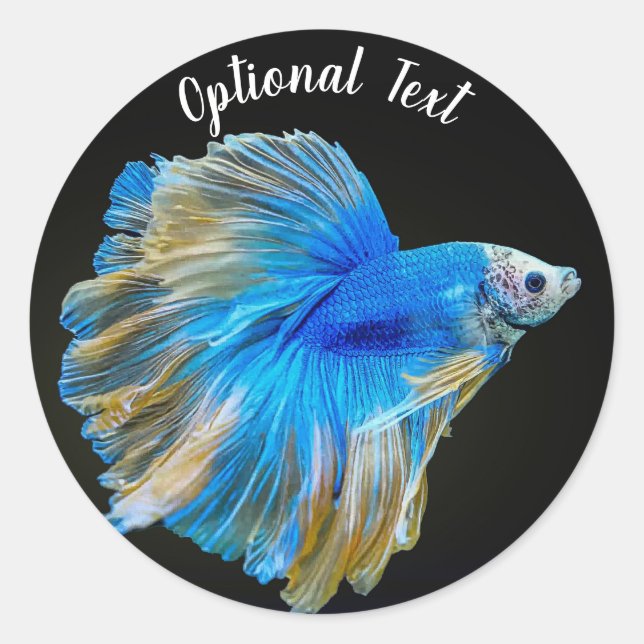 Adesivo Redondo Azul Betta - Peixe de Combate (Frente)