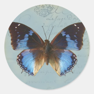 Adesivo Redondo Azul de Papillon