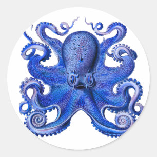 Adesivo Redondo Azul Octopus Haeckel