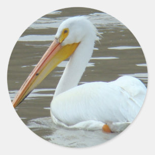 Adesivo Redondo B15 Pelicano Branco