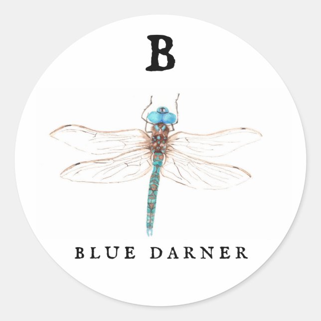 Adesivo Redondo "B" Blue Darner (Frente)