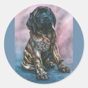 Adesivo Redondo Baby Brindle Mastiff