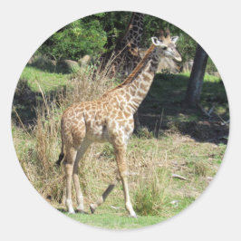 Adesivo Redondo Baby Giraffe Stickers