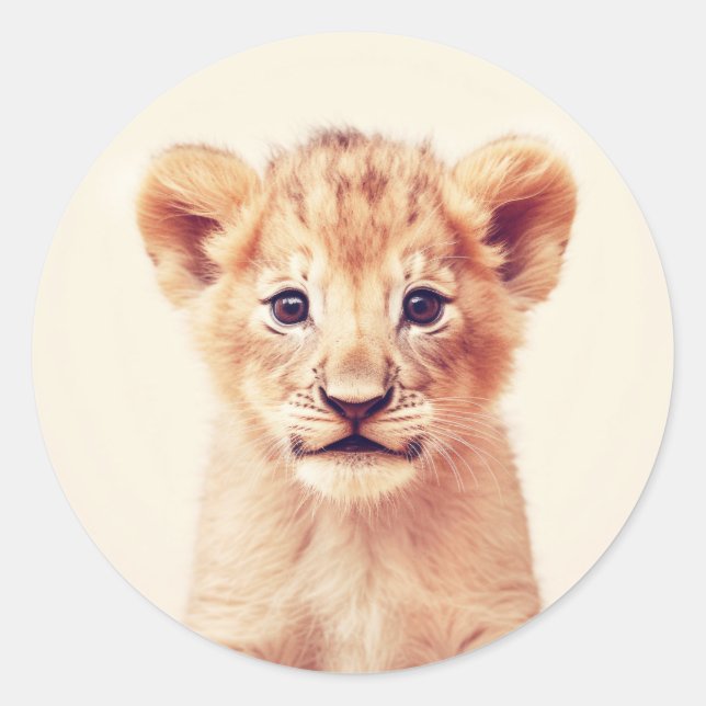 Adesivo Redondo Baby Lion (Frente)