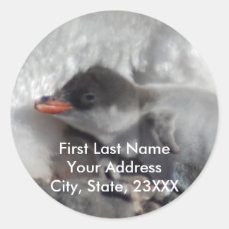 Adesivo Redondo Baby Penguin 2 Return Address Labs ou Stickers