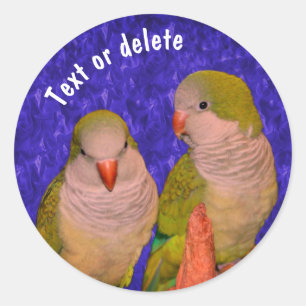 Adesivo Redondo Baby Quaker Parrots Animal Personalizado