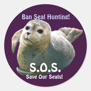 Adesivo Redondo BABY SEAL Anti-Seal Hunt Selvagem Sticker