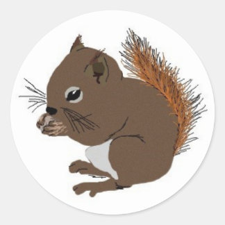 Adesivo Redondo Baby Squirrel Sticker