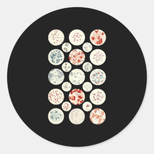 Adesivo Redondo bactéria engraçada microbiologia bactéria ciên