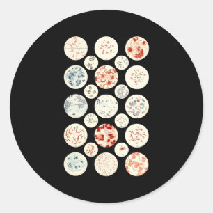 Adesivo Redondo Bactérias Microbiologia Bactérias Science Tiny Mic