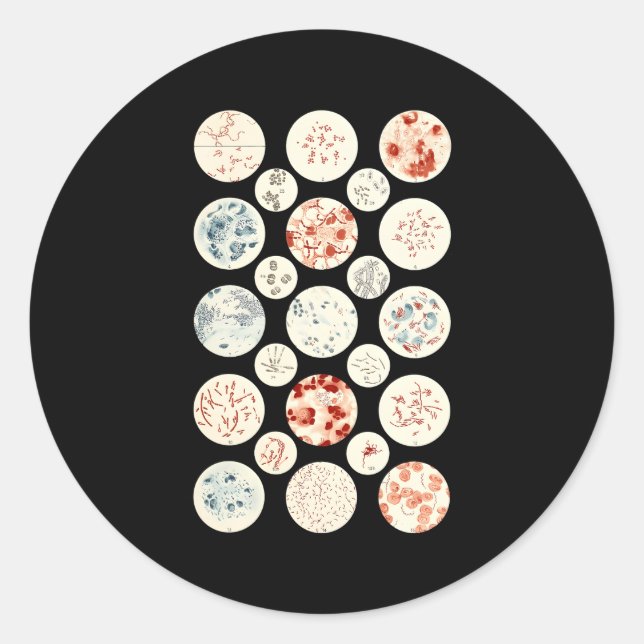 Adesivo Redondo Bactérias Microbiologia Bactérias Science Tiny Mic (Frente)