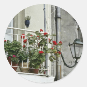 Adesivo Redondo Balcão catita em flores velhas de Corfu da cidade