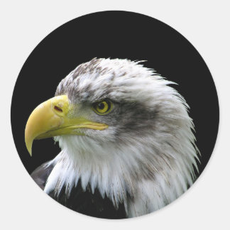 Adesivo Redondo Bald Eagle