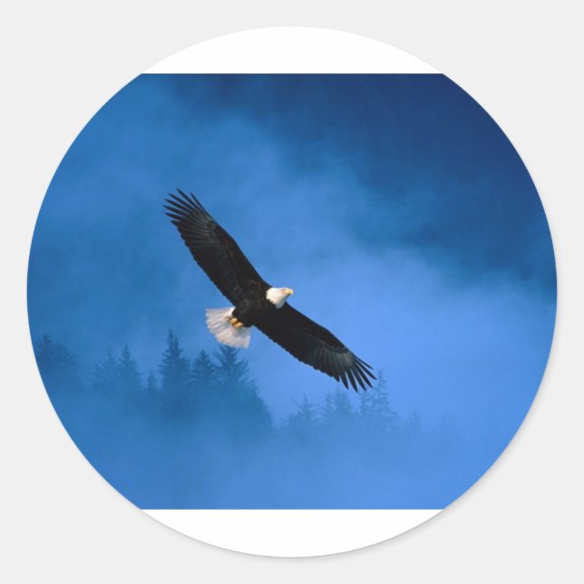 Adesivo Redondo Bald-Eagle-Alaska (Frente)