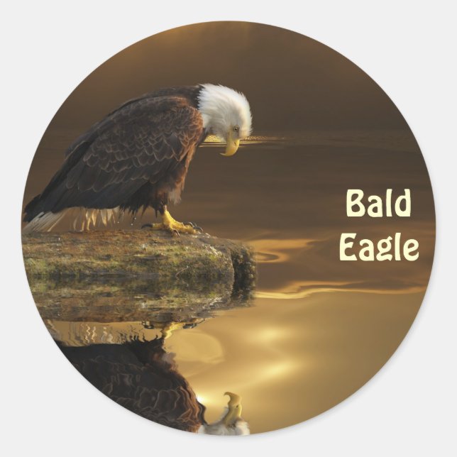 Adesivo Redondo Bald Eagle GRATITUDE Wildlife Fotografia (Frente)