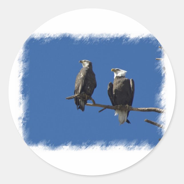 Adesivo Redondo Bald Eagles (Frente)