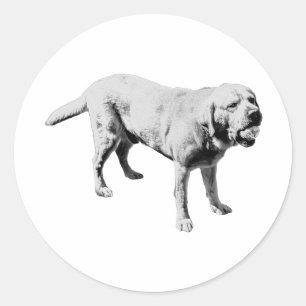 Adesivo Redondo Ball Hog