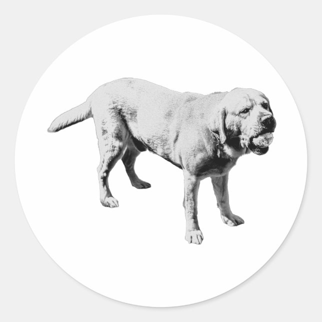 Adesivo Redondo Ball Hog (Frente)