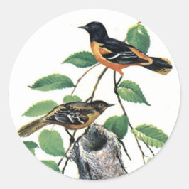 Adesivo Redondo Baltimore Orioles - Aves Ilustradas