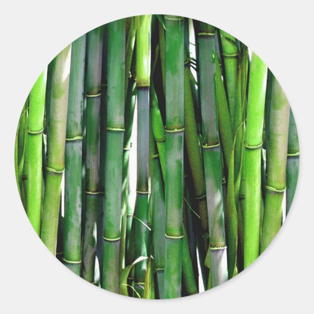 ADESIVO REDONDO BAMBOO (Frente)