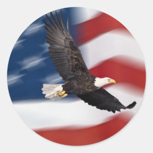 Adesivo Redondo Bandeira americana e águia