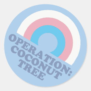 Adesivo Redondo Bandeira do Orgulho Trans da Árvore de Coco Kamala