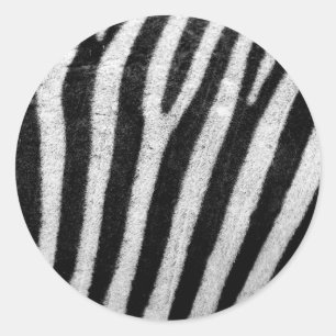 Adesivo Redondo Banheiras de Cabelo de Zebra Negra e Branca