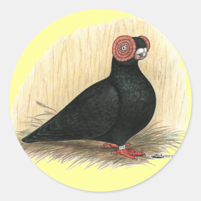 Adesivo Redondo Barb Pigeon Standard Black (Frente)