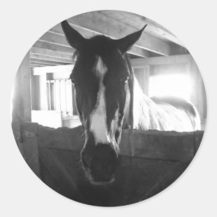 Adesivo Redondo Barn Horse