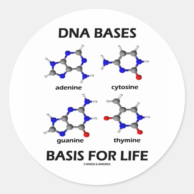 Adesivo Redondo Base de DNA para a vida (Moléculas de Química) (Frente)