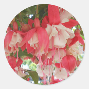 Adesivo Redondo Bashkirtseff