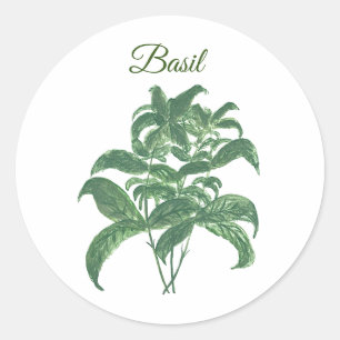 Adesivo Redondo Basil Herbs Greeneren Kitchen Green Plant