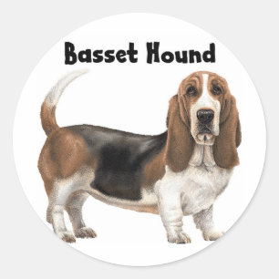 Adesivo Redondo Basset Hound