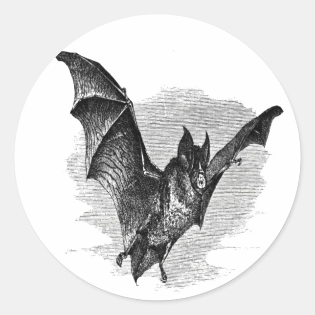 Adesivo Redondo Bat Sticker (Frente)