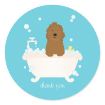 Bath de Bolha de Goldendoodle