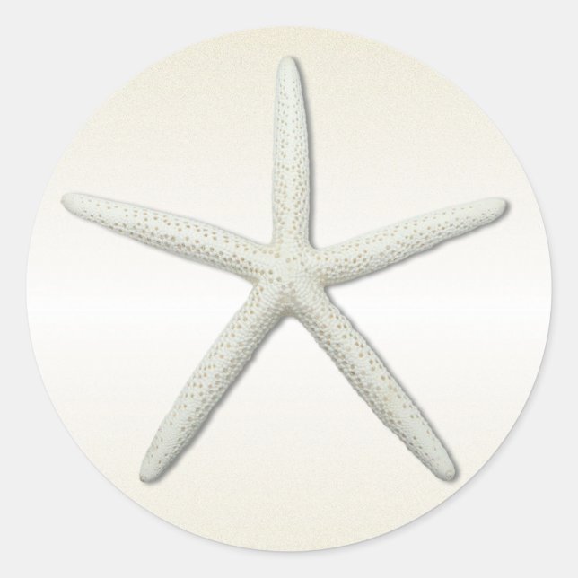 Adesivo Redondo Bayside Solteiro Starfish Champagne Round (Frente)