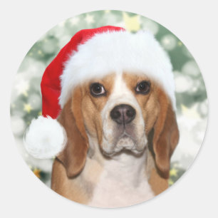 Adesivo Redondo Beagle no chapéu de Natal