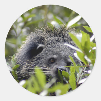 Adesivo Redondo Bearcat Stickers