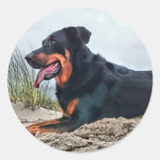 Adesivo Redondo Beauceron