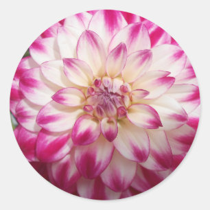 Adesivo Redondo Beaux