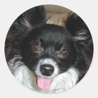 Adesivo Redondo Bebê açúcar