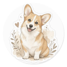 Bebê fofinho: Corgi