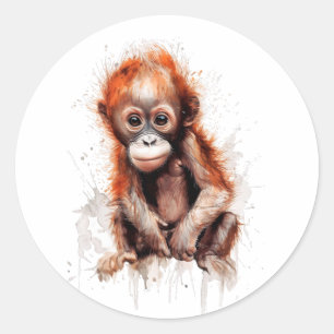Adesivo Redondo Bebé Orangután