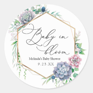 Adesivo Redondo Bebê Suculento em Marcas de Favor de Planta de Sa