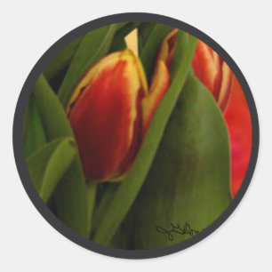Adesivo Redondo Becky's Tulips jGibney Signature Greenville SC The